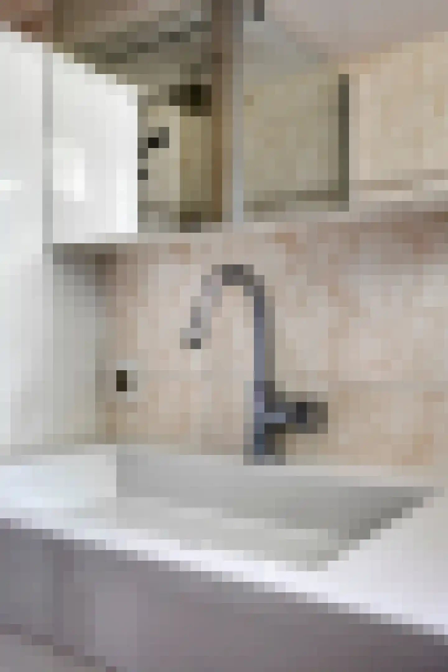 Seradellehof 7 Lage Mierde thumbnail 42