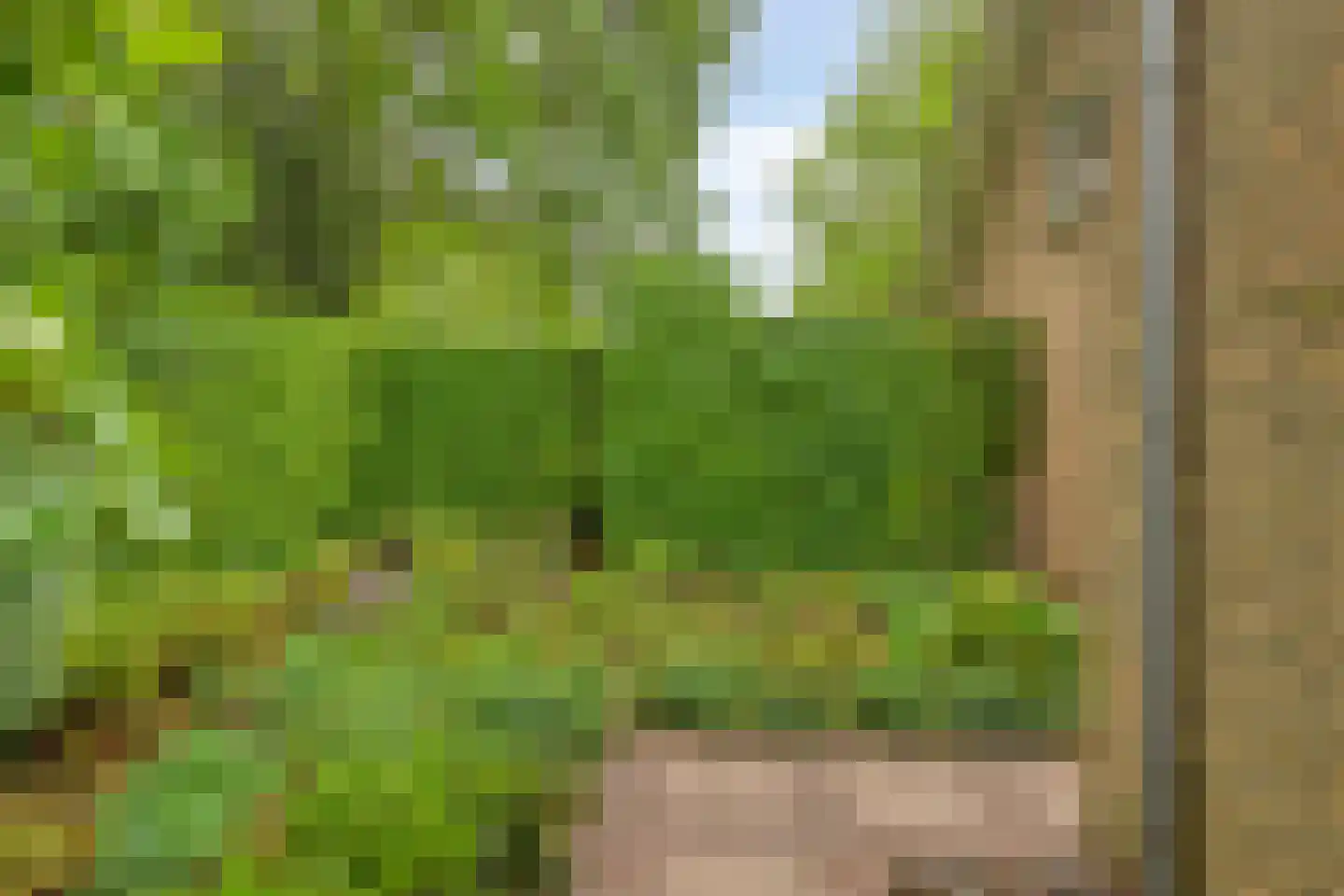 Seradellehof 7 Lage Mierde thumbnail 43
