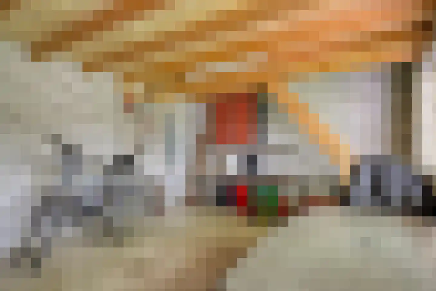 Seradellehof 7 Lage Mierde thumbnail 44