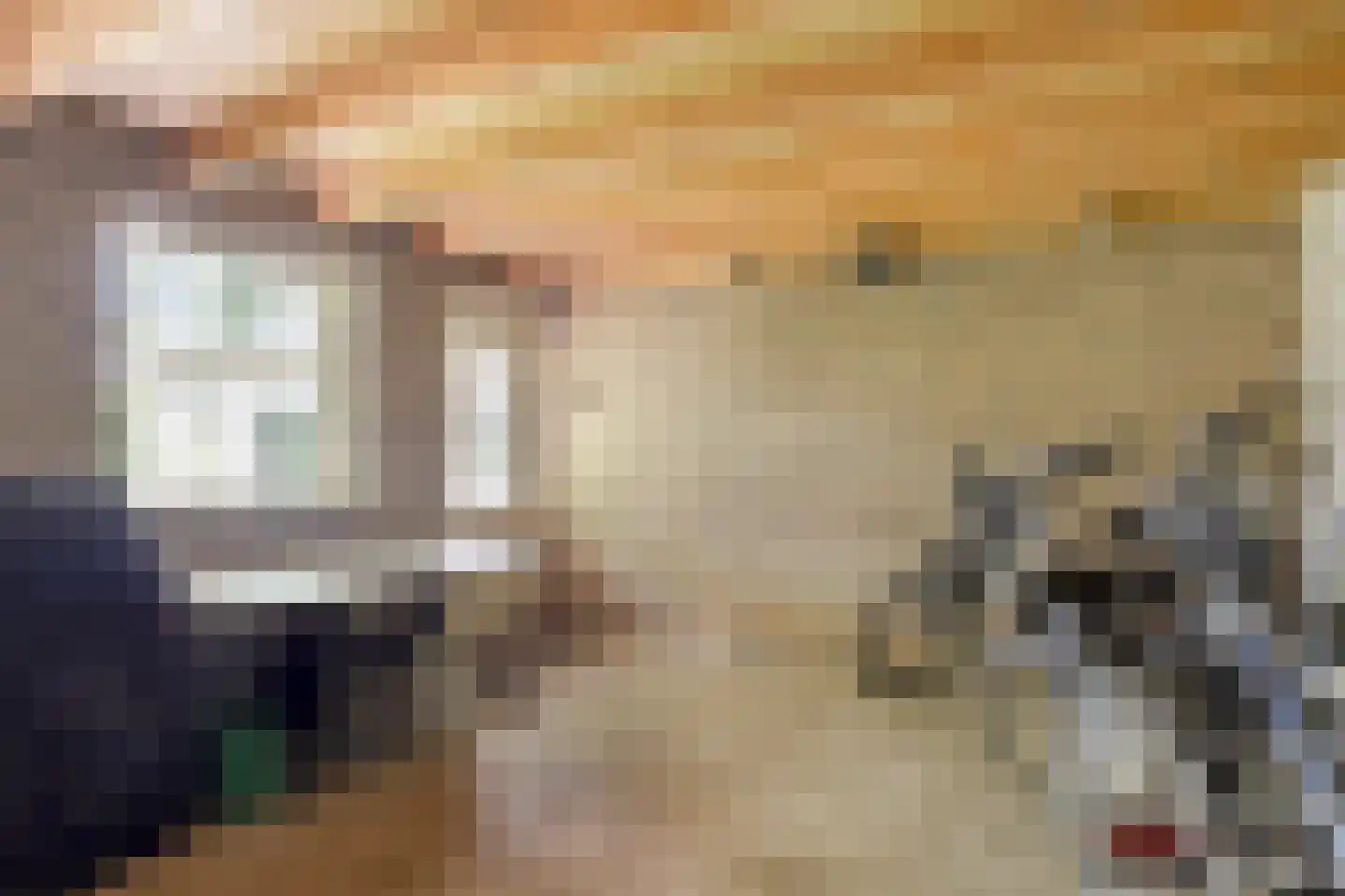 Seradellehof 7 Lage Mierde thumbnail 45