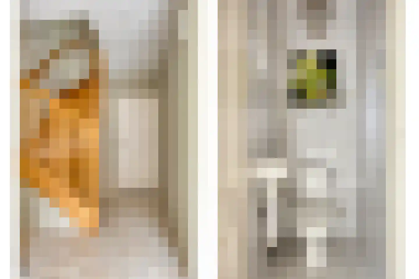 Seradellehof 7 Lage Mierde thumbnail 7