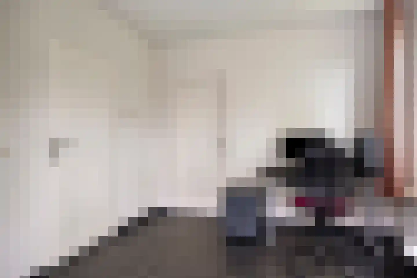 Seradellehof 7 Lage Mierde thumbnail 9