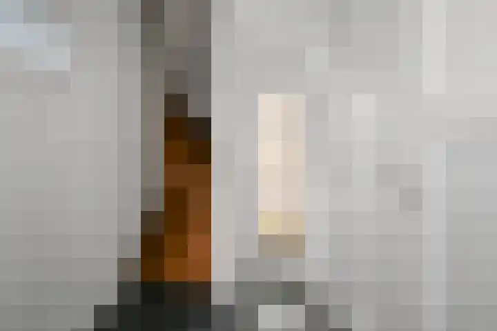 Seramstraat 1 Wormerveer thumbnail 30