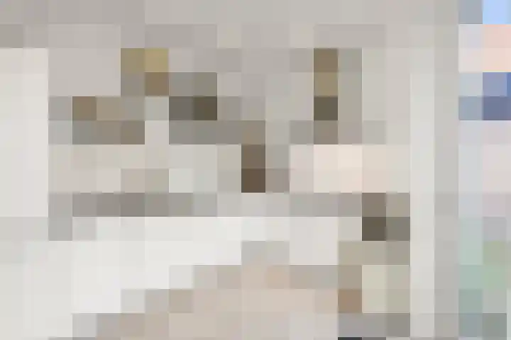Seramstraat 1 Wormerveer thumbnail 8