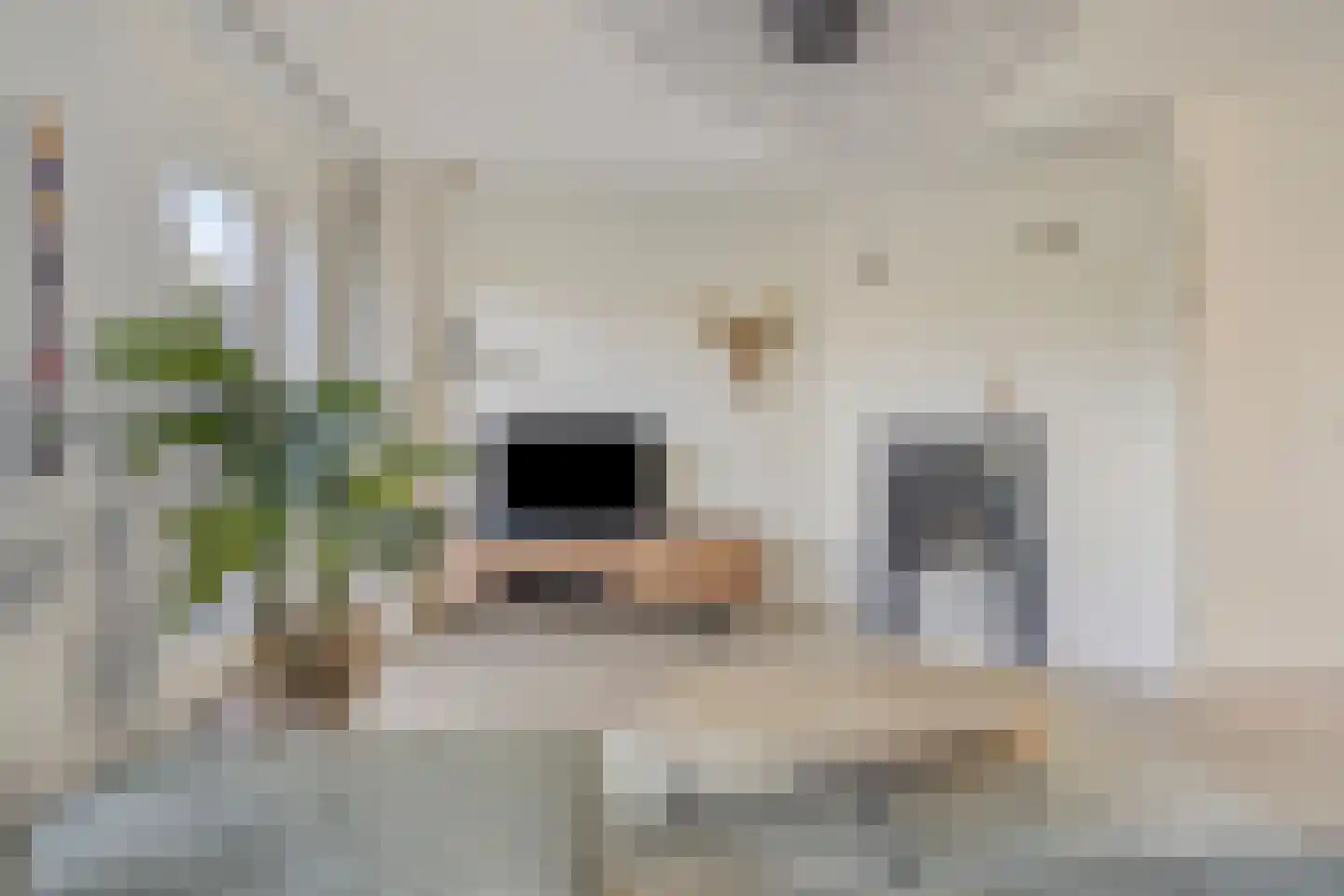 Seramstraat 15 Zwolle thumbnail 10