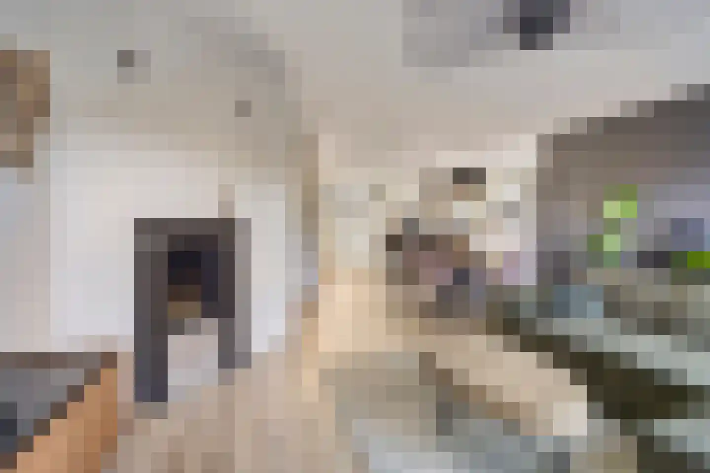 Seramstraat 15 Zwolle thumbnail 12