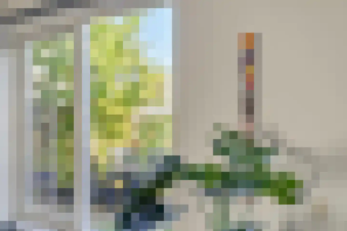 Seramstraat 15 Zwolle thumbnail 15