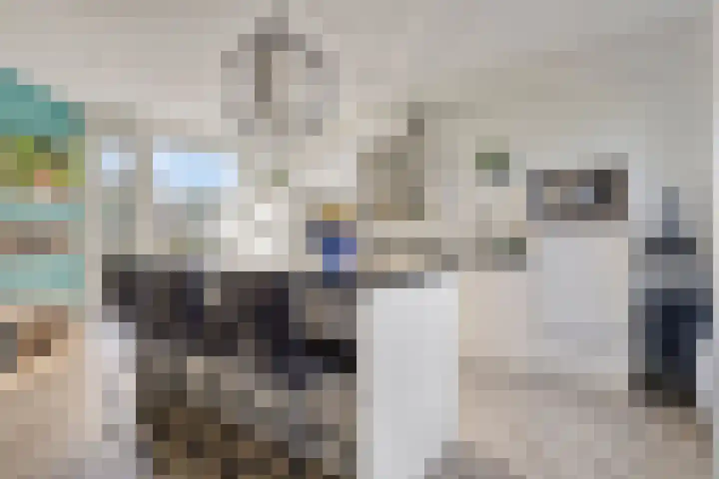 Seramstraat 15 Zwolle thumbnail 21