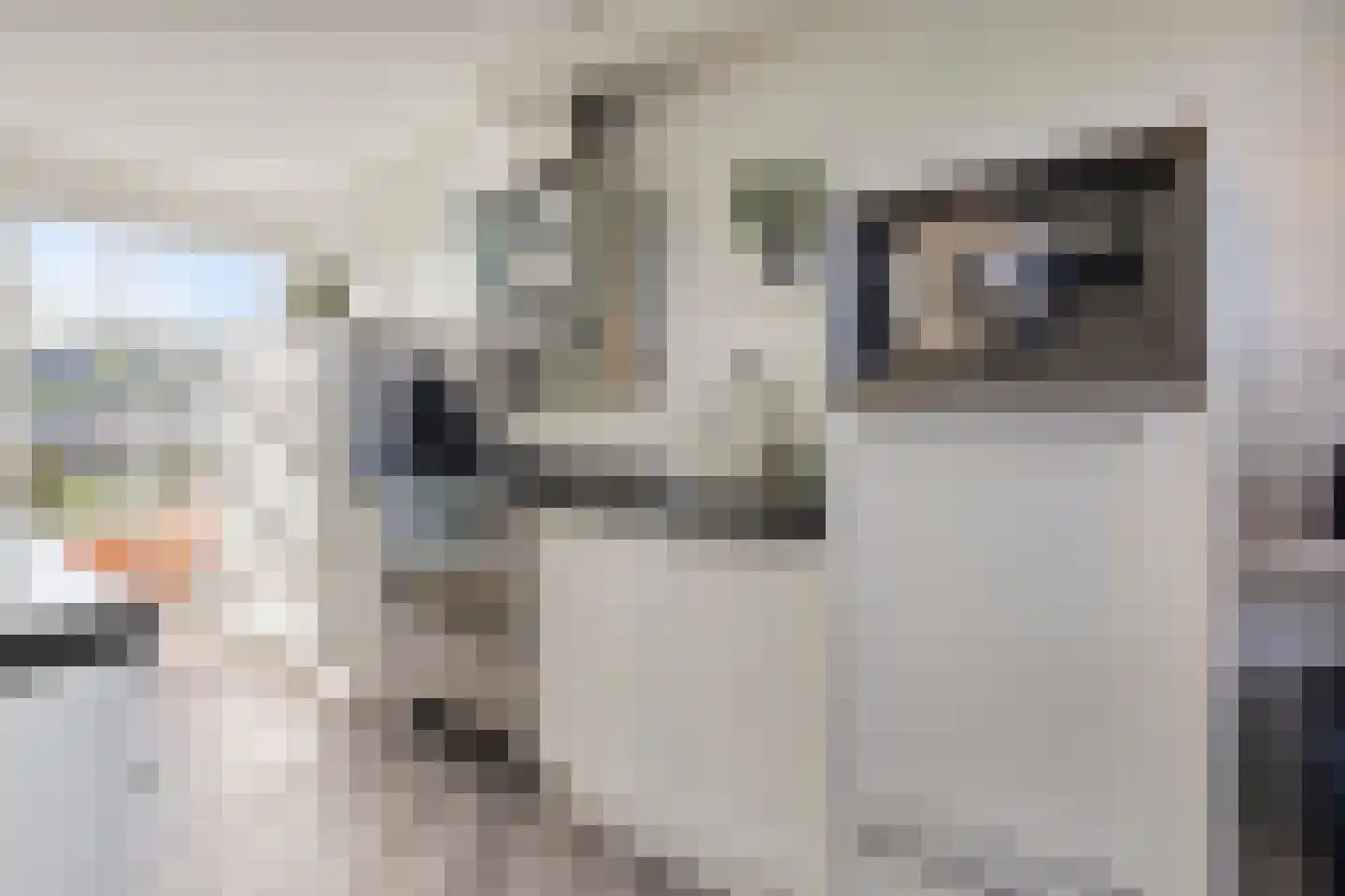Seramstraat 15 Zwolle thumbnail 22
