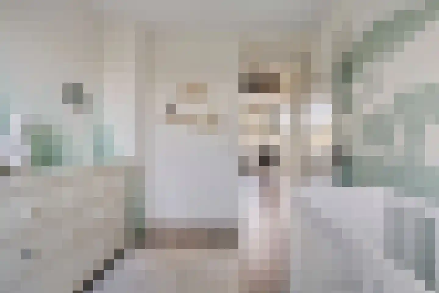 Seramstraat 15 Zwolle thumbnail 34