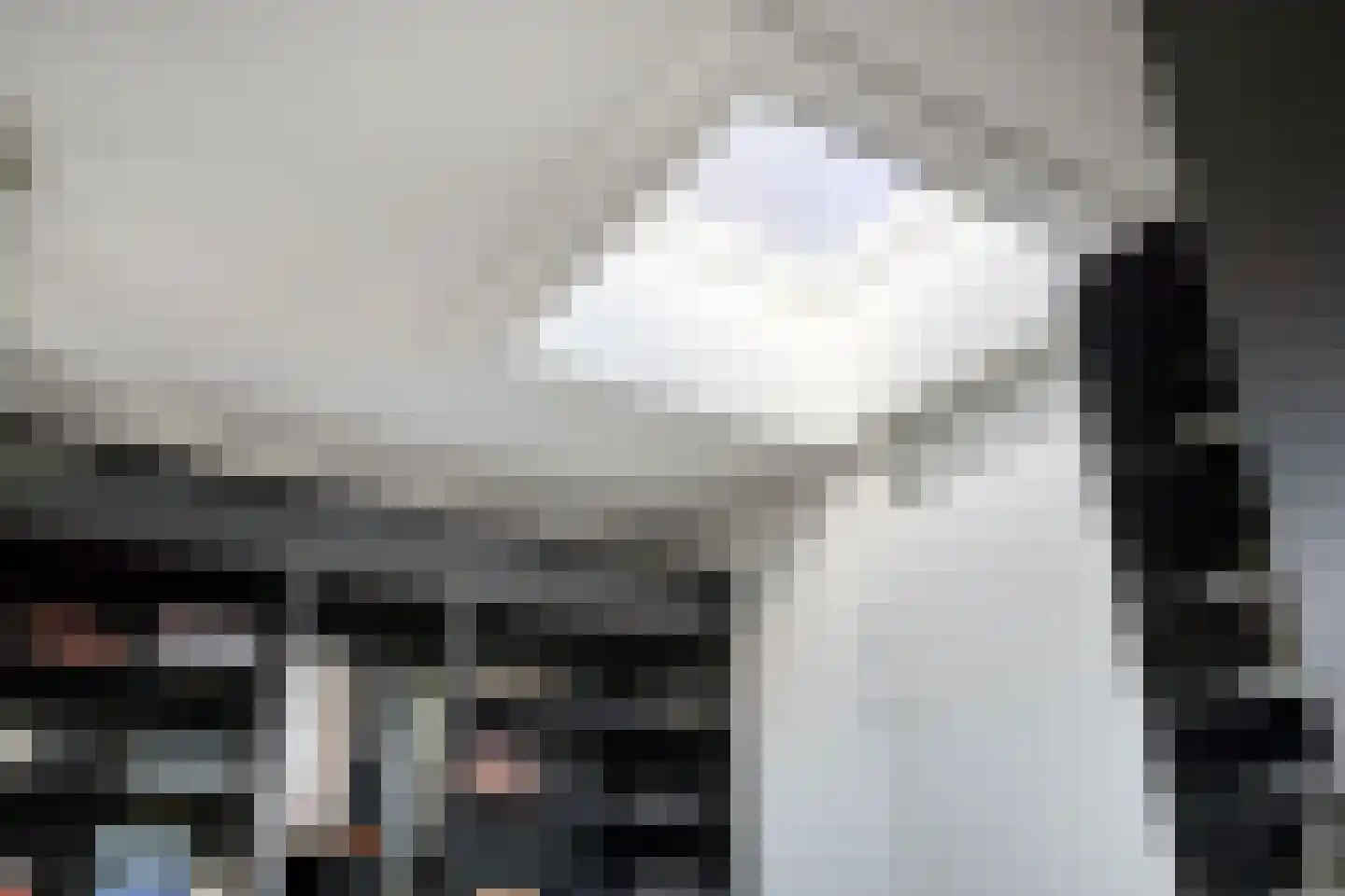 Seramstraat 15 Zwolle thumbnail 41