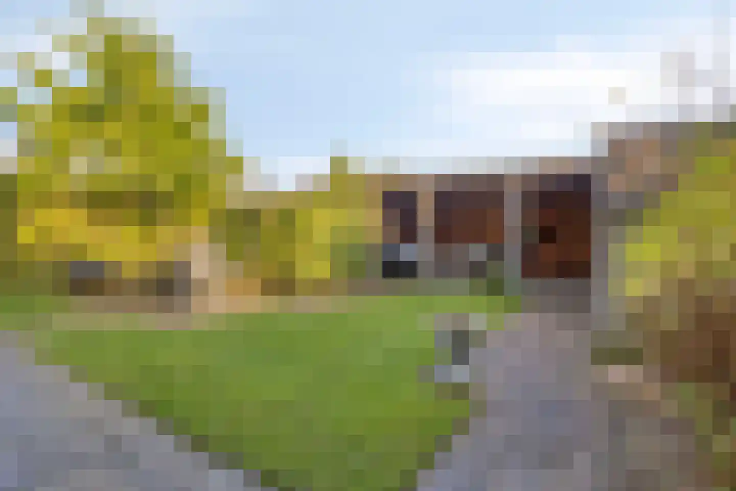 Seramstraat 15 Zwolle thumbnail 57