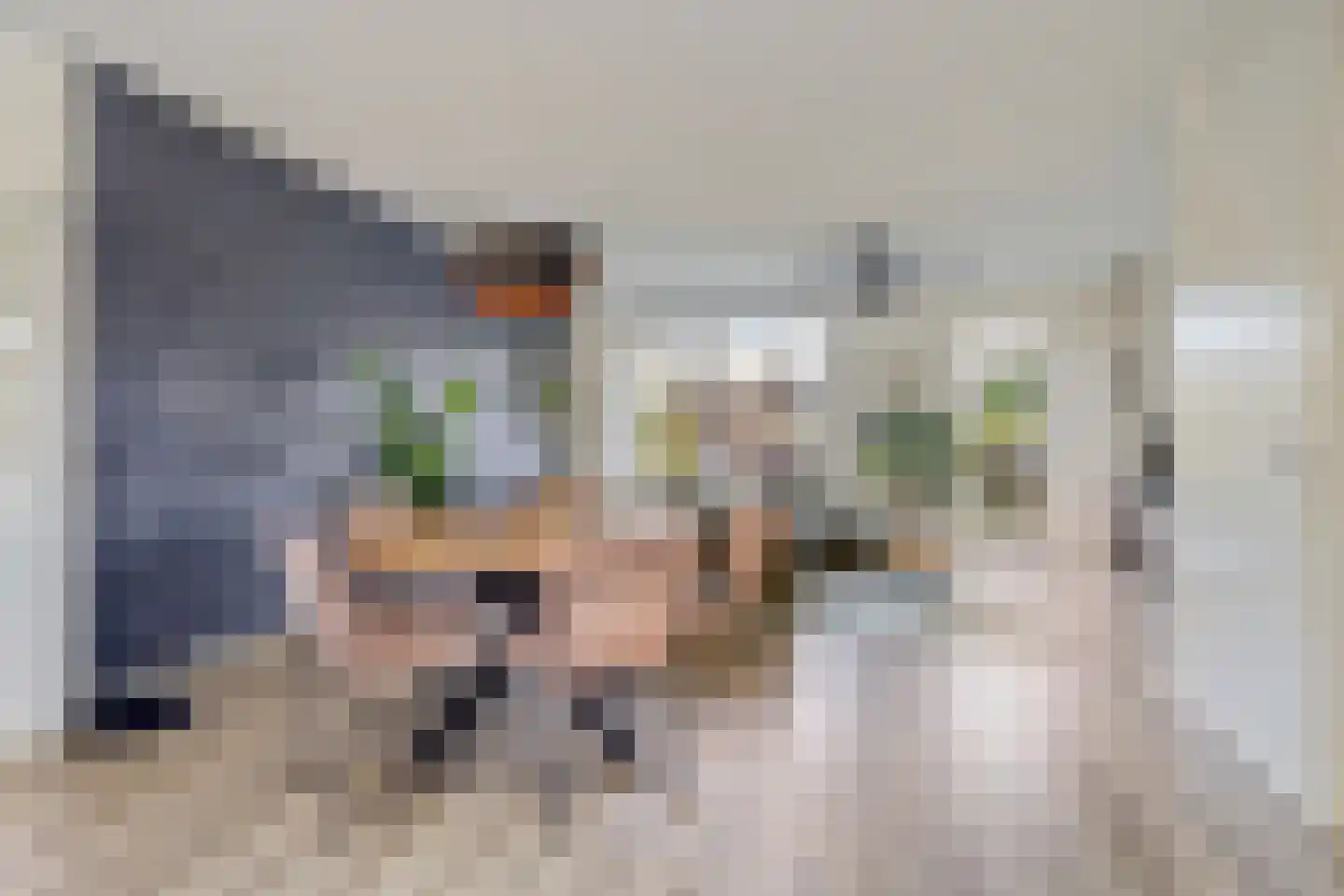 Seramstraat 15 Zwolle thumbnail 9
