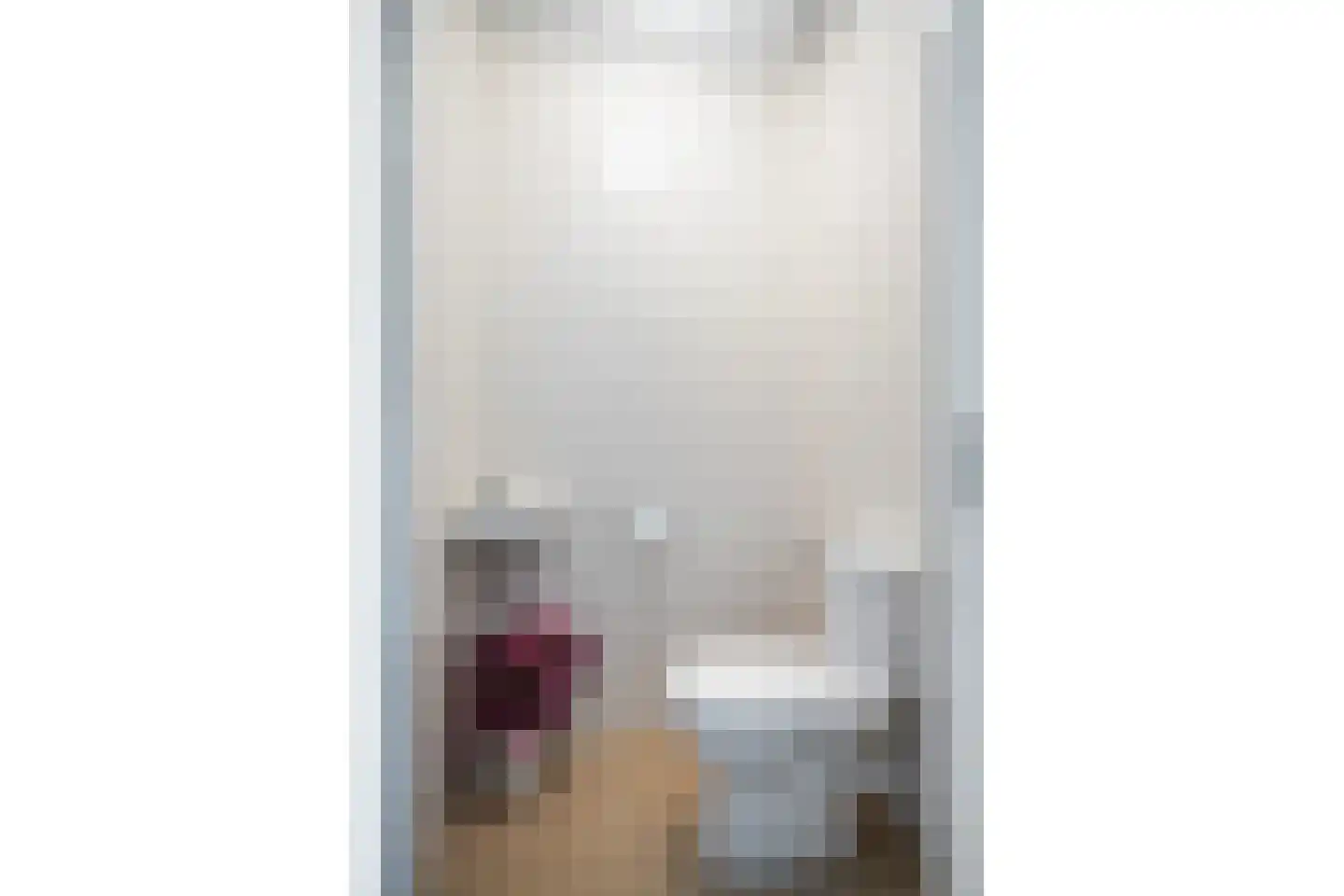 Seramstraat 2 Zwolle thumbnail 12