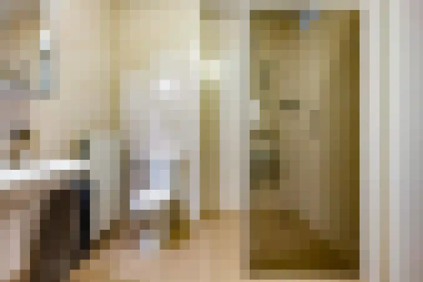 Seramstraat 2 Zwolle thumbnail 28