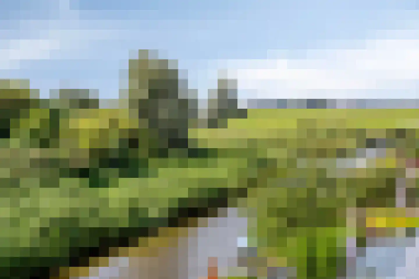 Serenade 13 Zaandam thumbnail 36