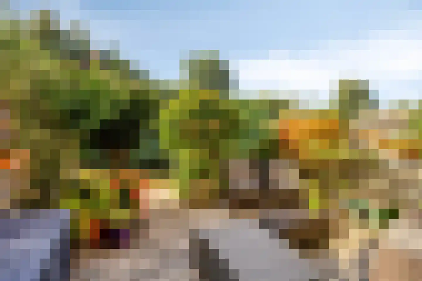 Serenade 13 Zaandam thumbnail 42