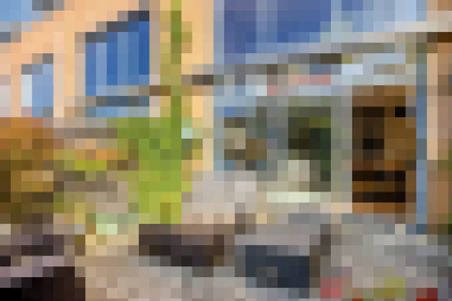 Serenade 13 Zaandam thumbnail 43