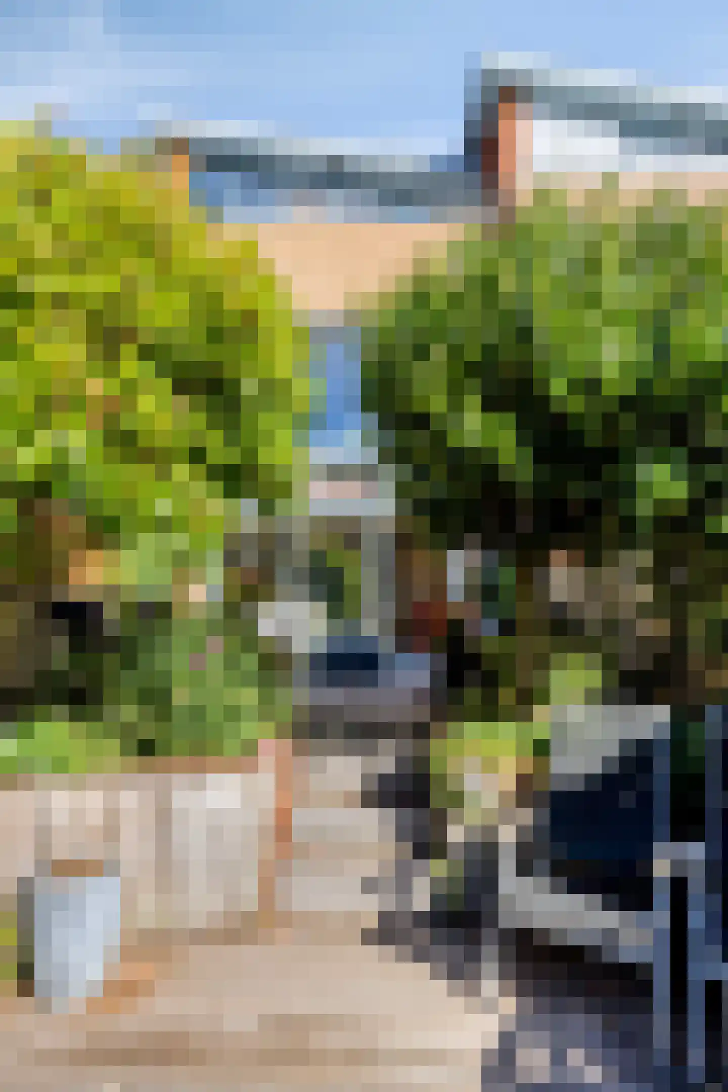 Serenade 13 Zaandam thumbnail 45