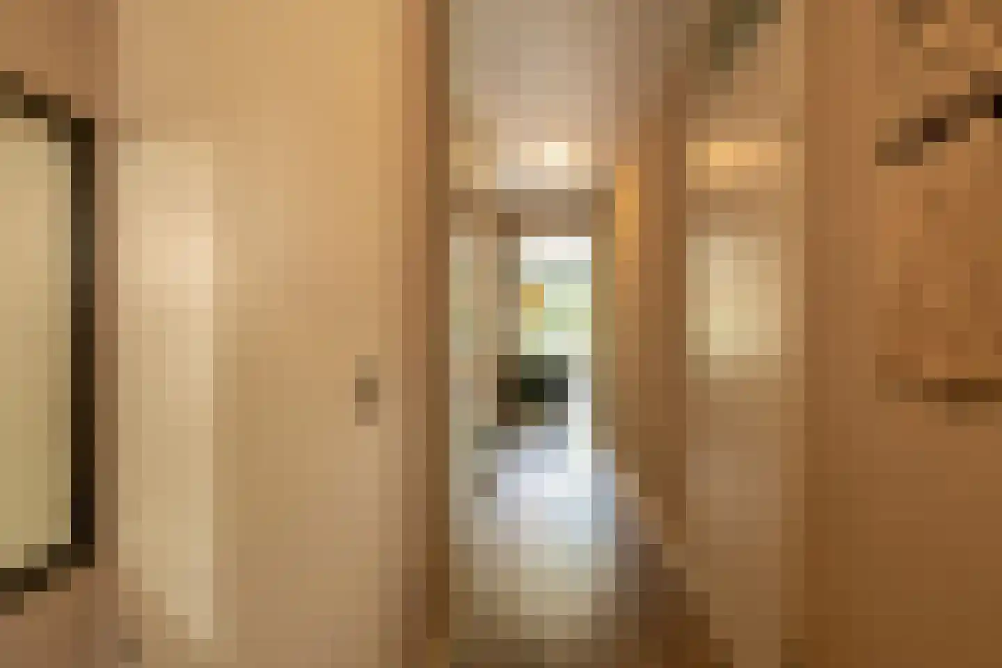 Serenade 15 Zaandam thumbnail 10