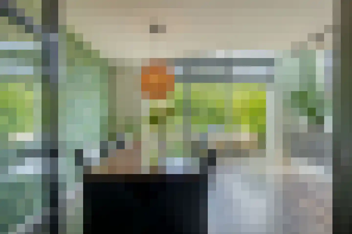 Serenade 15 Zaandam thumbnail 11