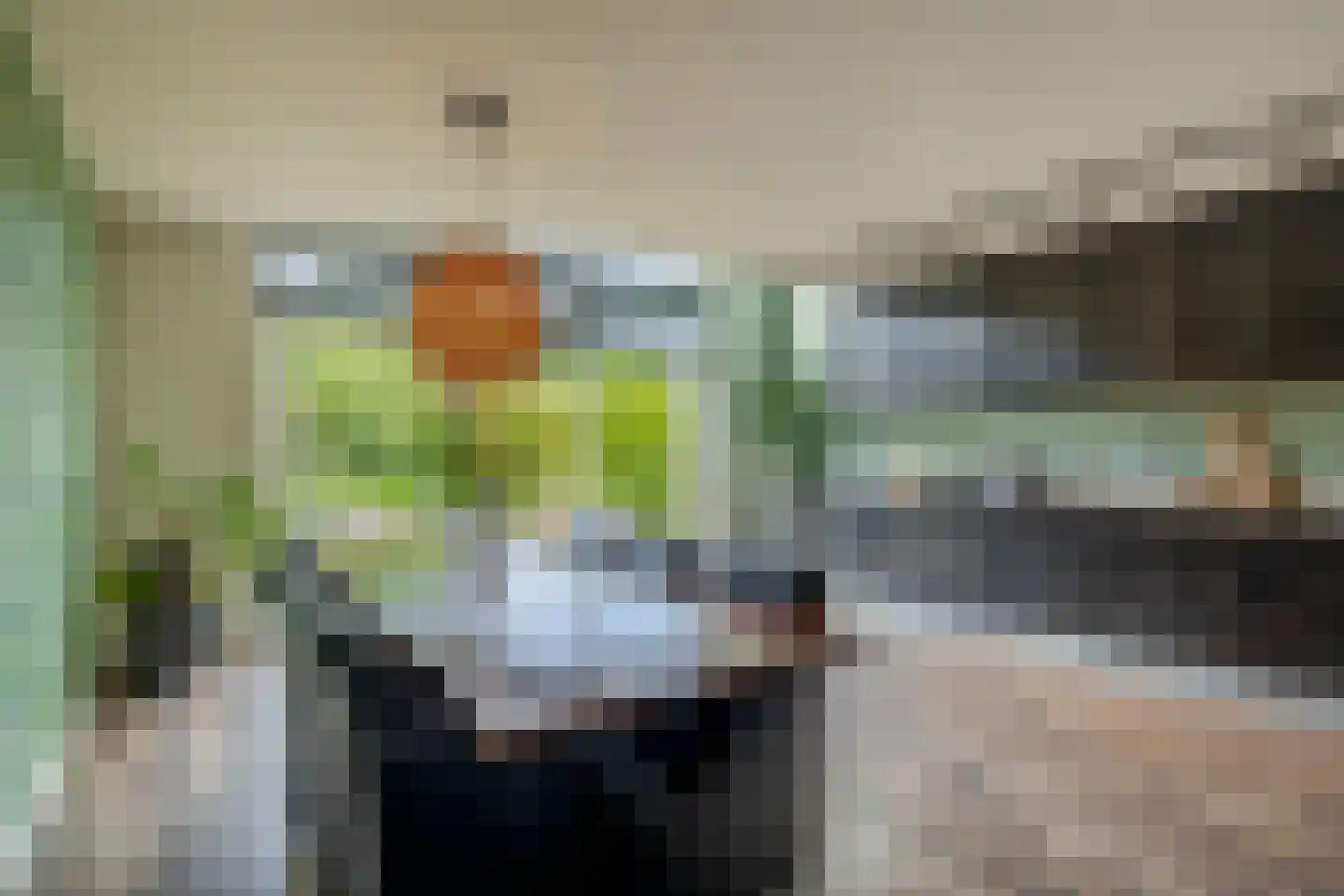 Serenade 15 Zaandam thumbnail 13