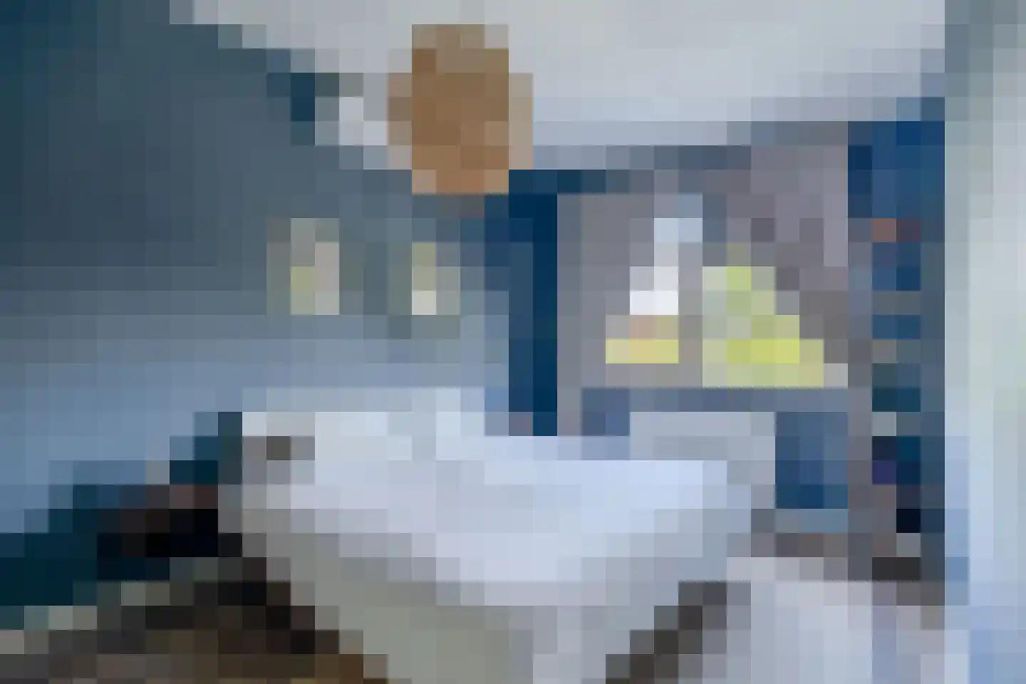 Serenade 15 Zaandam thumbnail 34