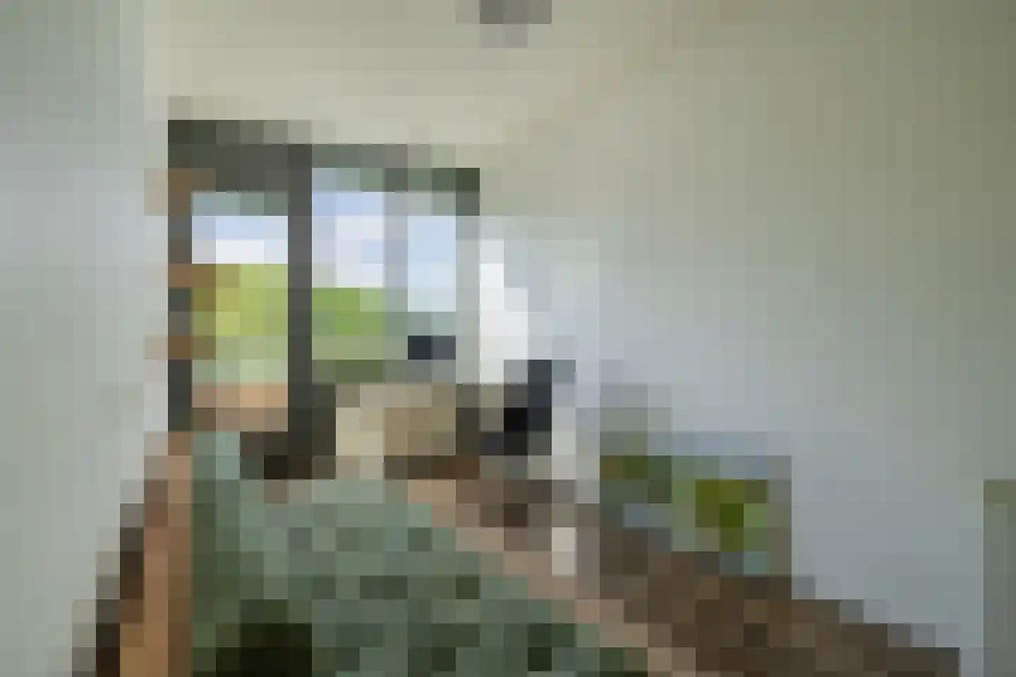 Serenade 15 Zaandam thumbnail 38