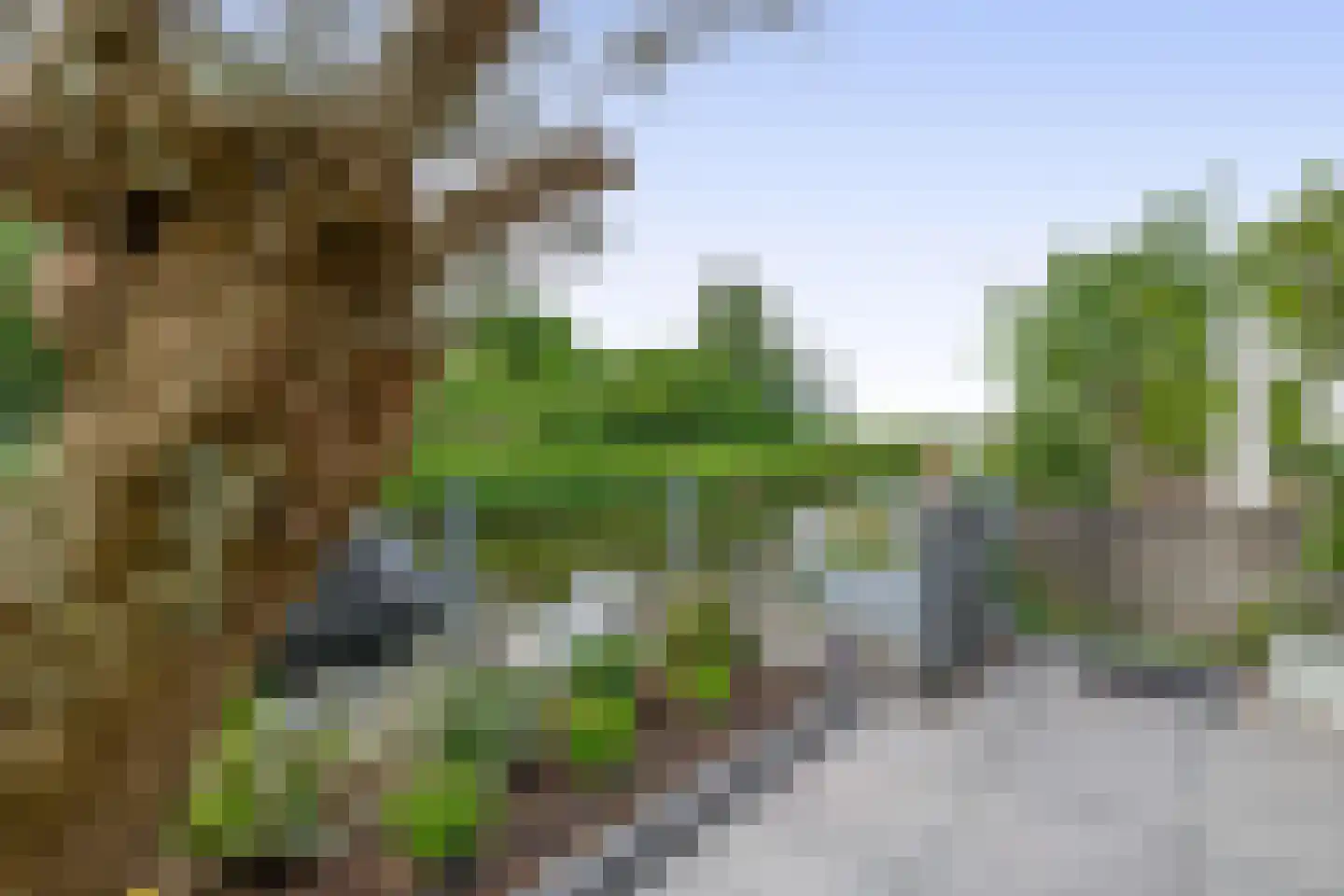 Serenade 15 Zaandam thumbnail 49