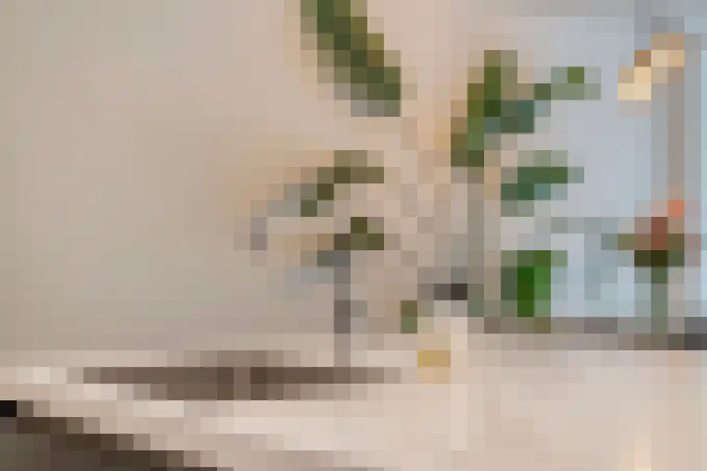 Serenade 3 Zaandam thumbnail 25