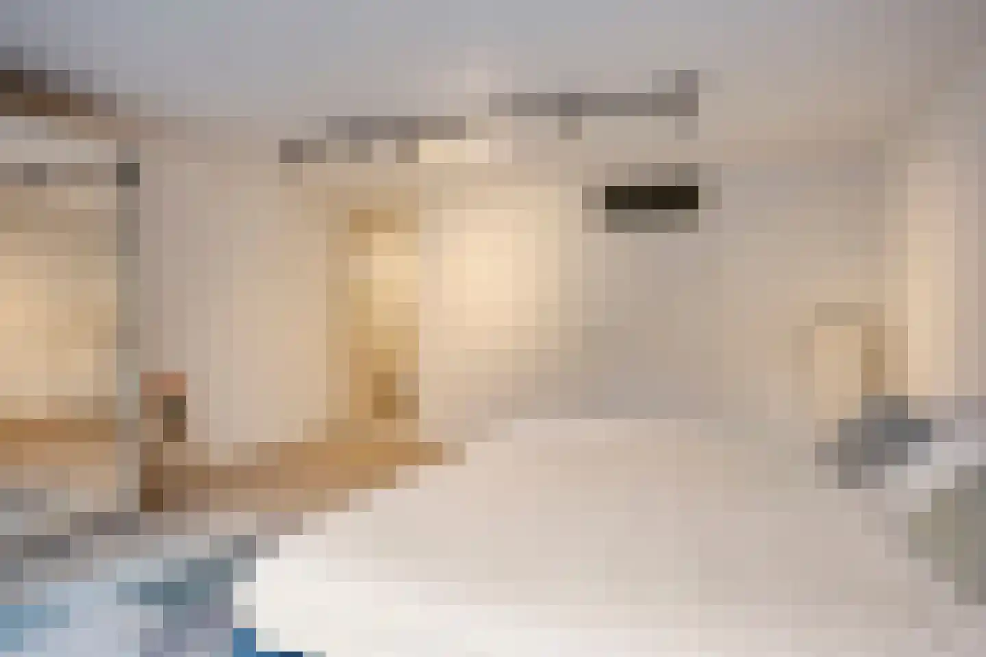 Serenade 3 Zaandam thumbnail 31