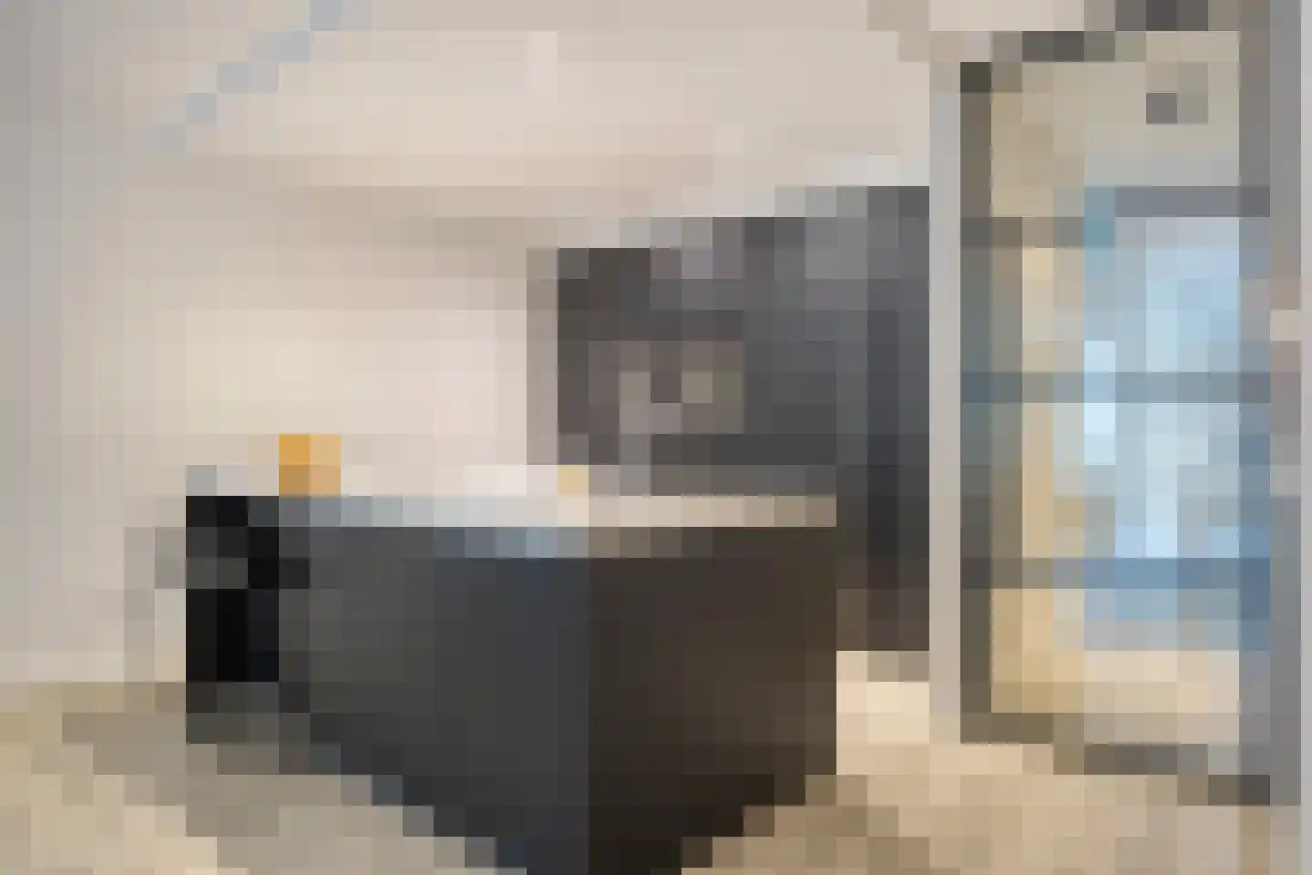 Serenade 3 Zaandam thumbnail 5