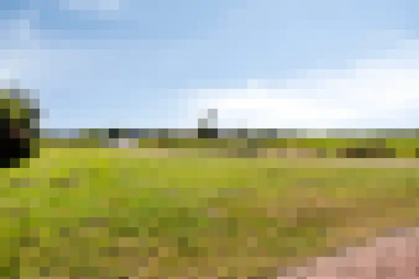 Serenade 3 Zaandam thumbnail 59
