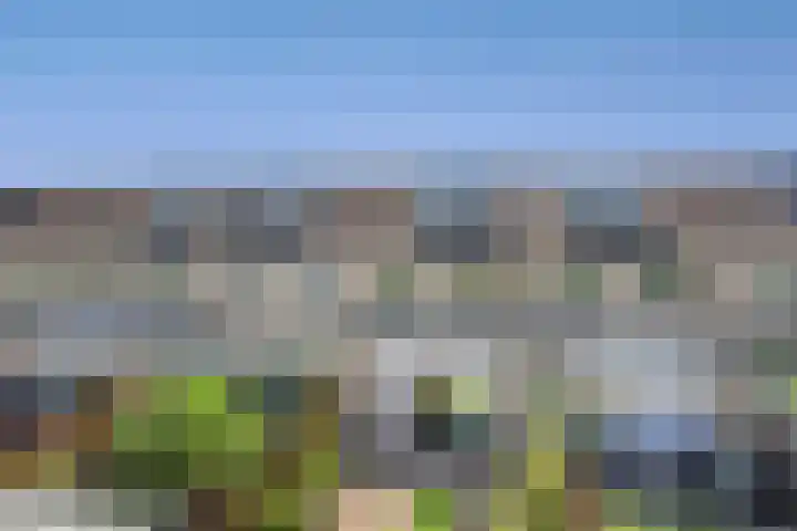 Serenadelaan 29 Barendrecht thumbnail 32