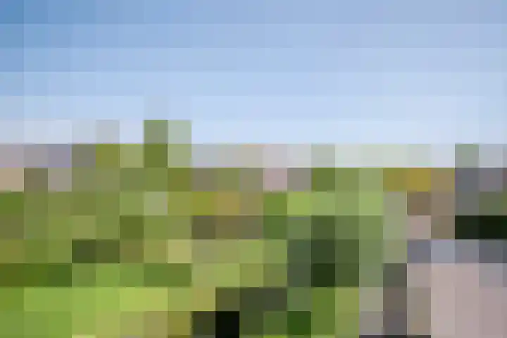 Serenadelaan 29 Barendrecht thumbnail 37