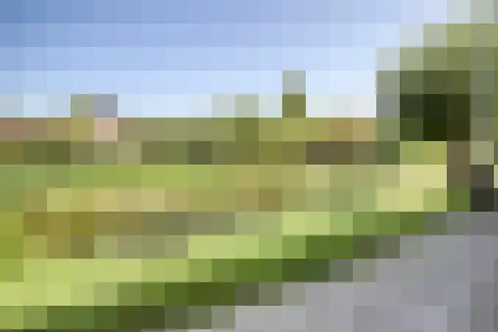 Serenadelaan 29 Barendrecht thumbnail 38