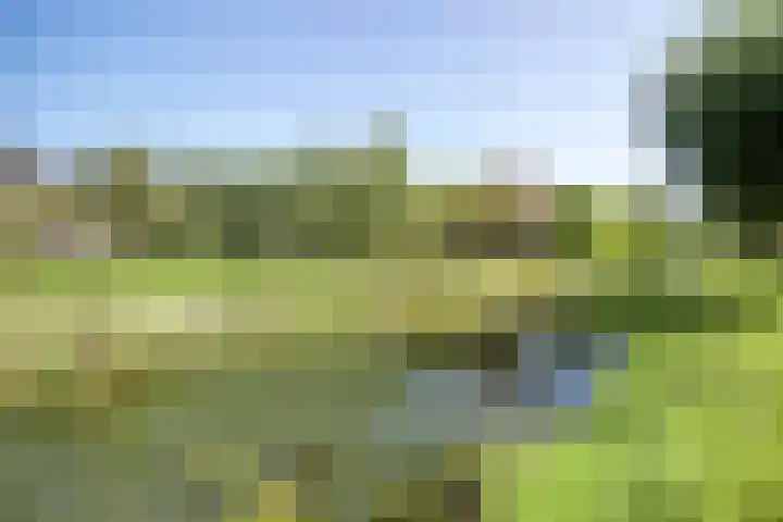 Serenadelaan 29 Barendrecht thumbnail 39