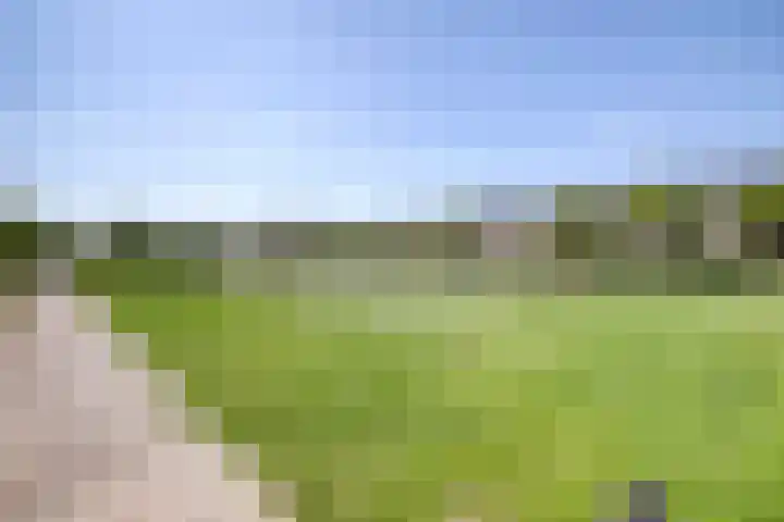 Serenadelaan 29 Barendrecht thumbnail 43