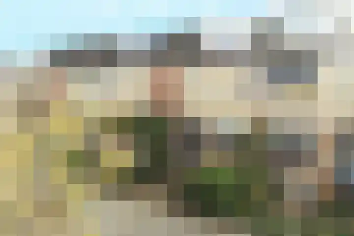 Serenadelaan 44 Barendrecht thumbnail 34