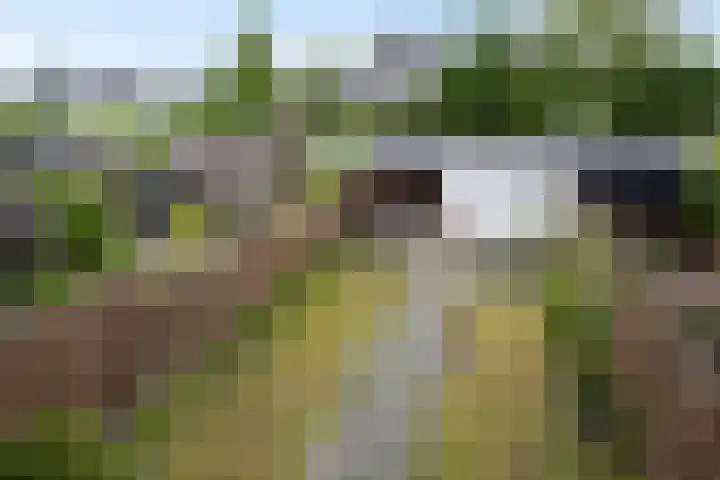 Serenadelaan 7 Barendrecht thumbnail 14