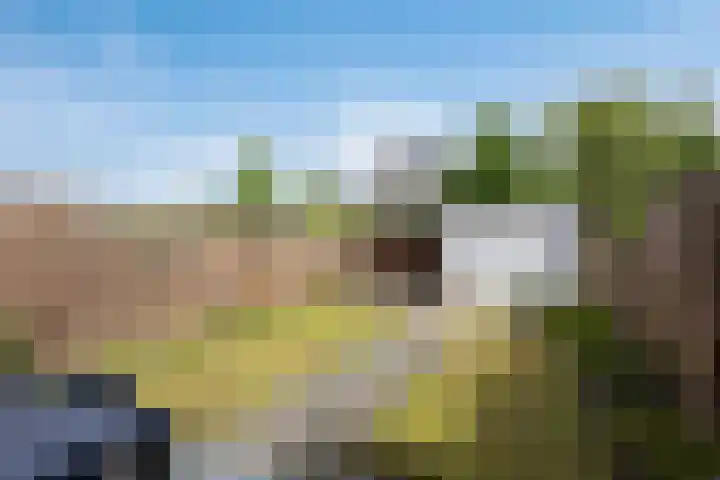 Serenadelaan 7 Barendrecht thumbnail 22