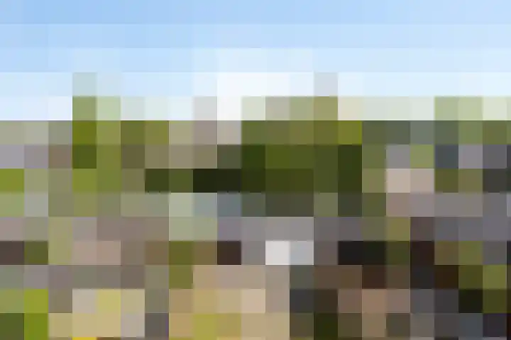 Serenadelaan 7 Barendrecht thumbnail 24