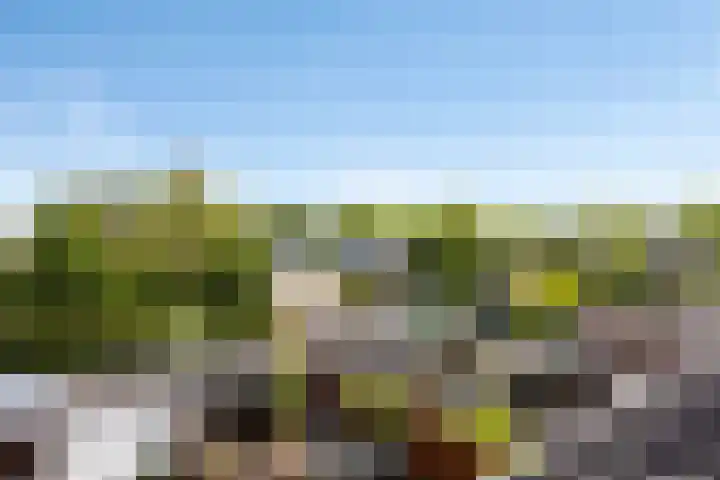 Serenadelaan 7 Barendrecht thumbnail 25