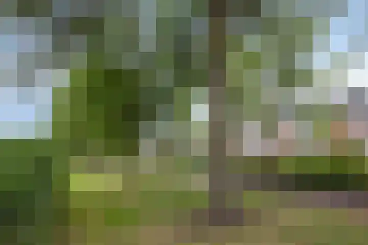 Serenadelaan 7 Barendrecht thumbnail 30