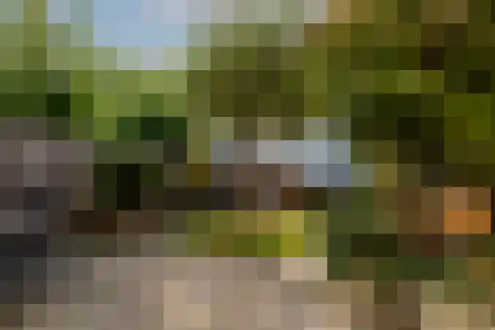 Serenadelaan 8 Barendrecht thumbnail 31