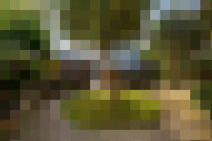 Serenadelaan 8 Barendrecht thumbnail 32