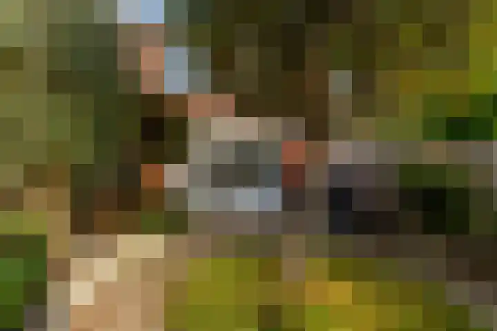 Serenadelaan 8 Barendrecht thumbnail 33