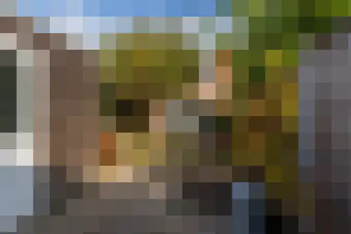 Serenadelaan 8 Barendrecht thumbnail 36