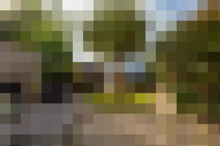 Serenadelaan 8 Barendrecht thumbnail 5