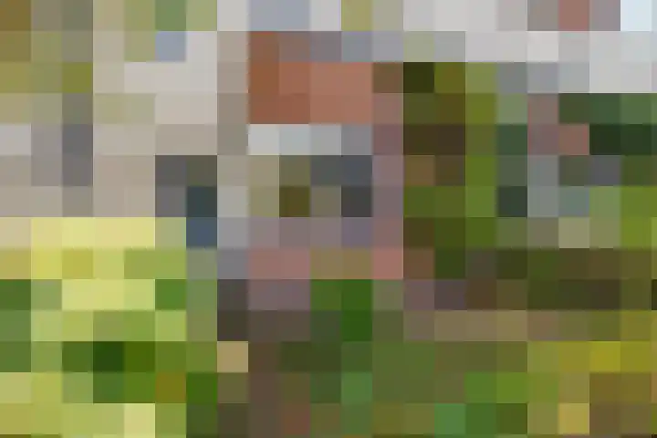 Serenadelaan 8 Barendrecht thumbnail 6